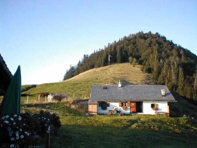 Appartements Ferienwohnungen Alpenblick Файстенау Екстериор снимка
