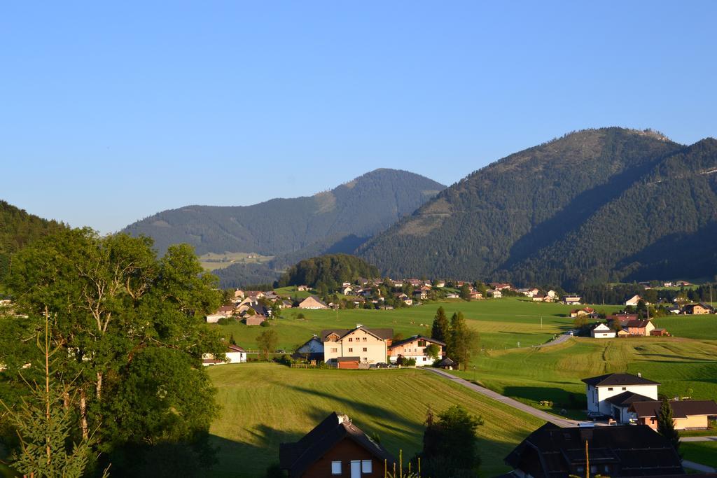 Appartements Ferienwohnungen Alpenblick Файстенау Екстериор снимка