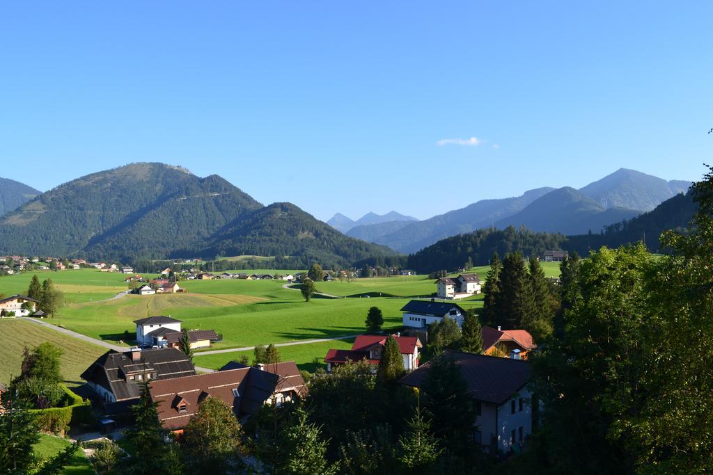 Appartements Ferienwohnungen Alpenblick Файстенау Екстериор снимка