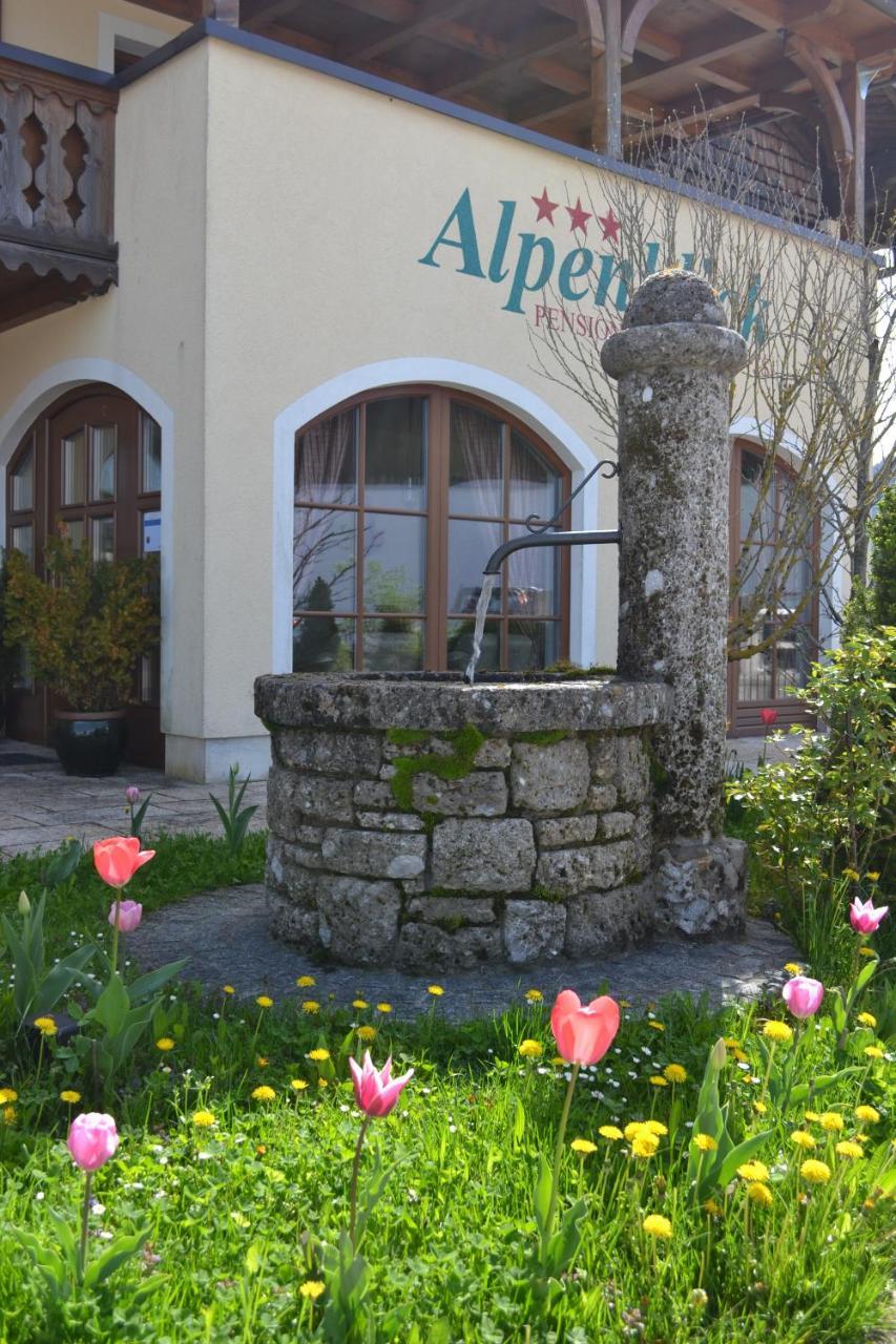 Appartements Ferienwohnungen Alpenblick Файстенау Екстериор снимка